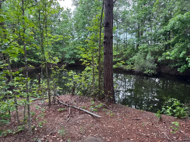 $950,000 | 351 Duncan Chapel Road, Harleyville, SC 29448