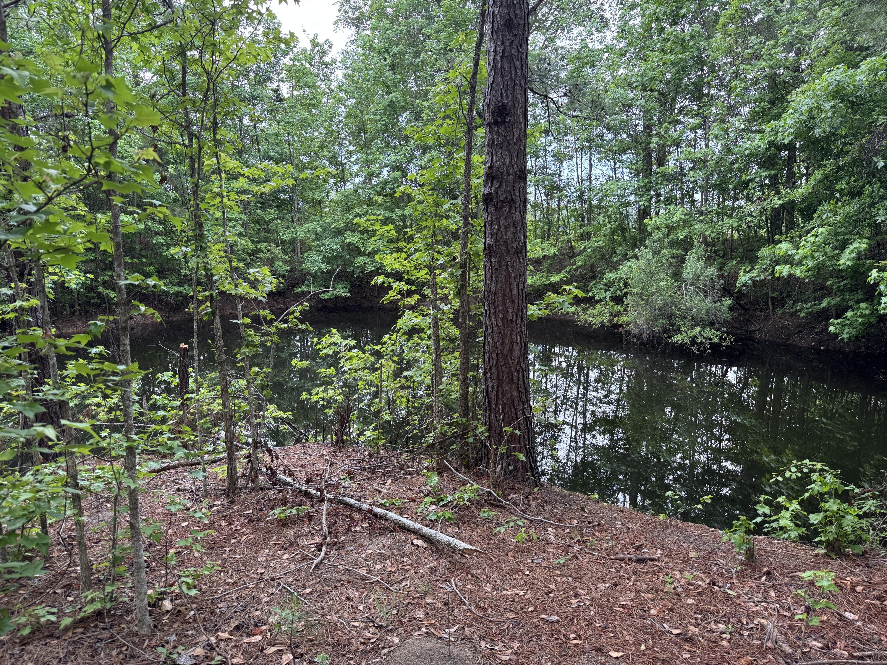 351 Duncan Chapel Road Harleyville, SC 29448 - Photo 79 of 90 IMG_9873