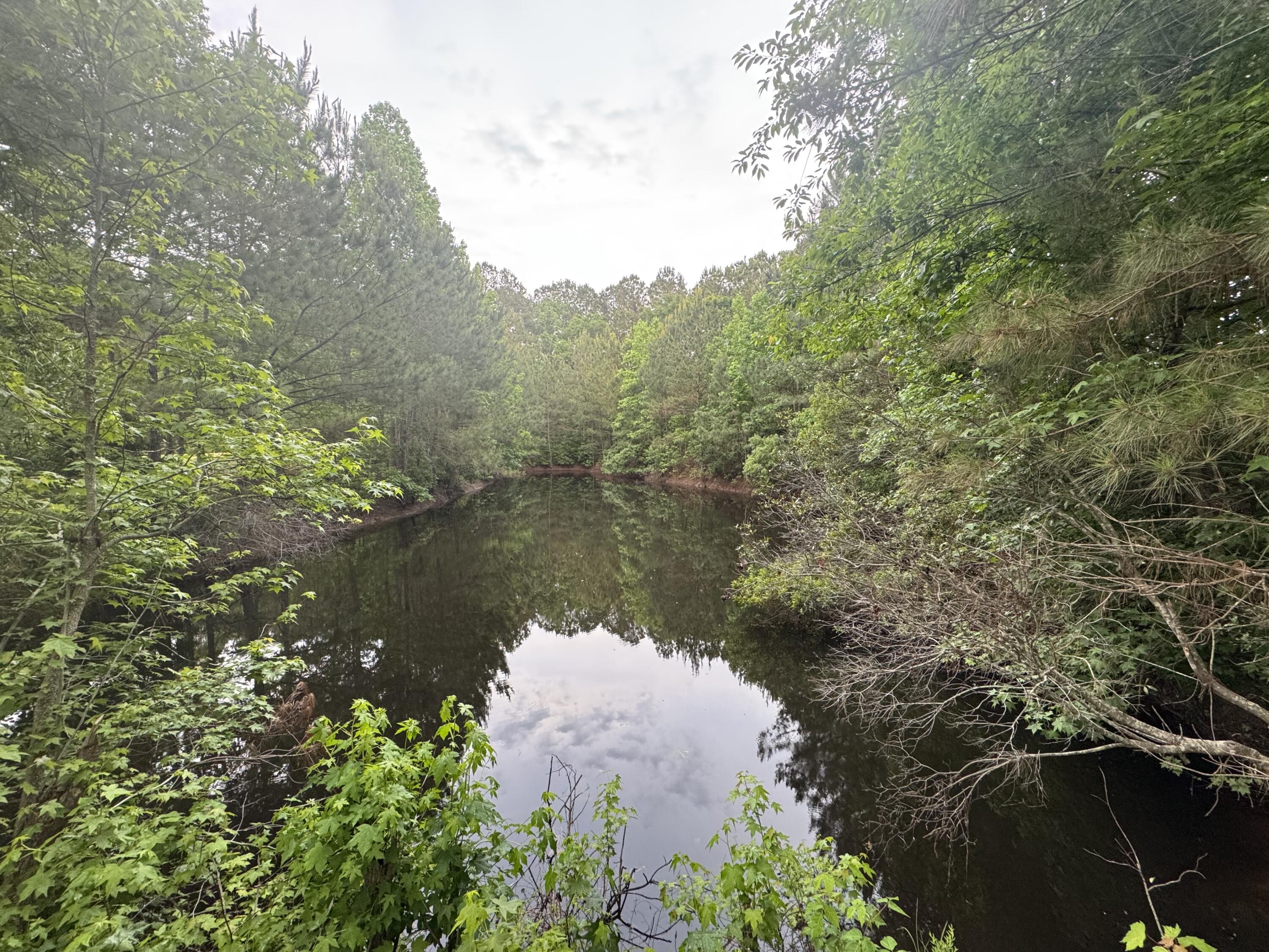 351 Duncan Chapel Road Harleyville, SC 29448 - Photo 80 of 90 IMG_9883