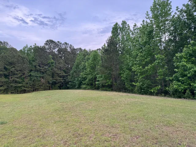 $950,000 | 351 Duncan Chapel Road, Harleyville, SC 29448