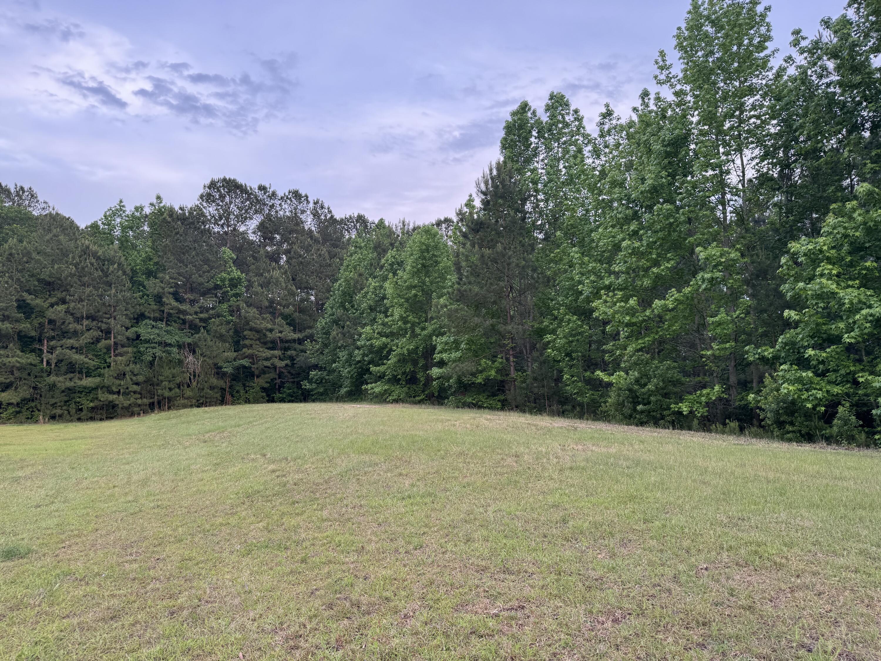 351 Duncan Chapel Road Harleyville, SC 29448 - Photo 81 of 90 IMG_9888