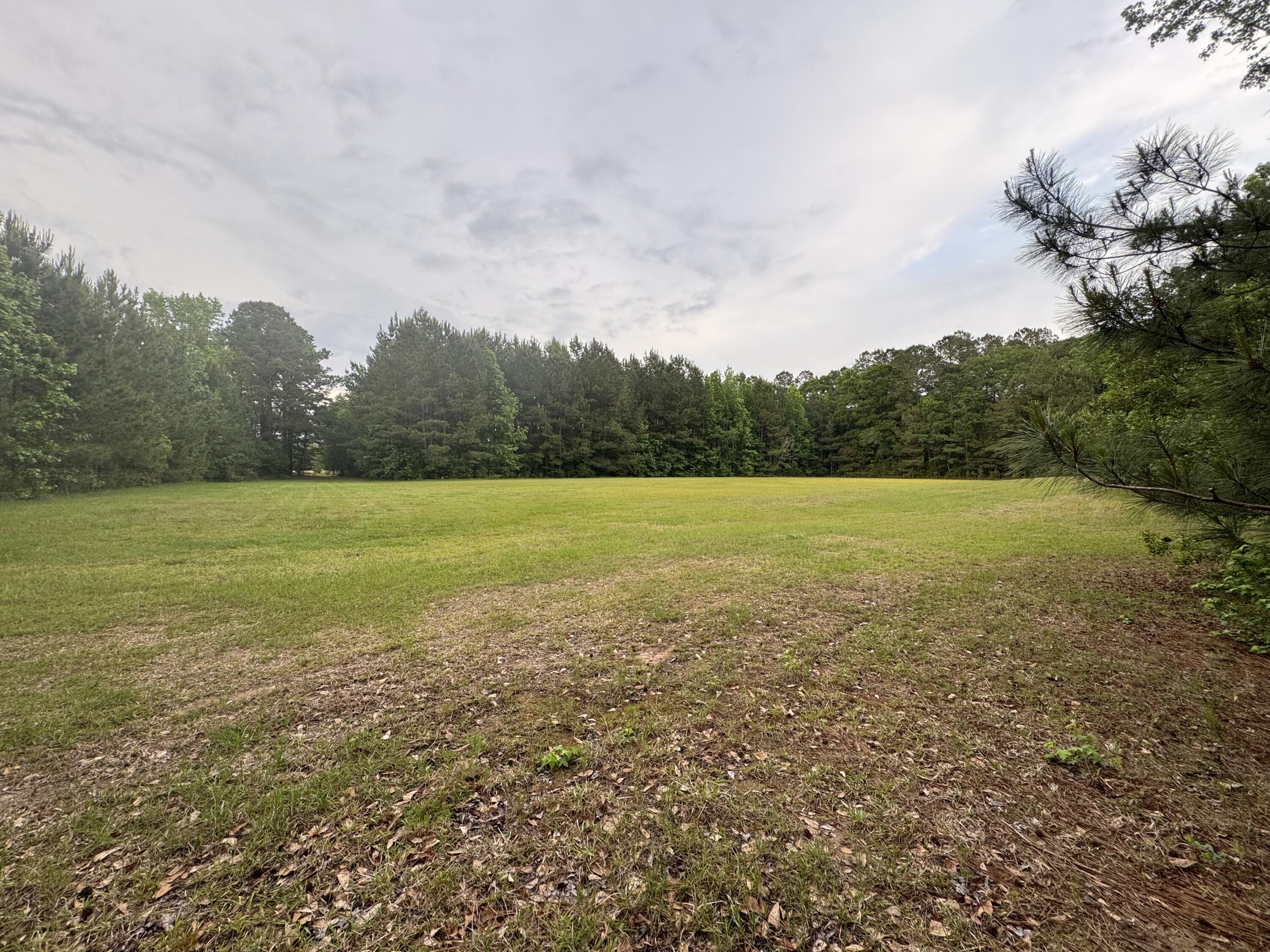 351 Duncan Chapel Road Harleyville, SC 29448 - Photo 82 of 90 IMG_9877