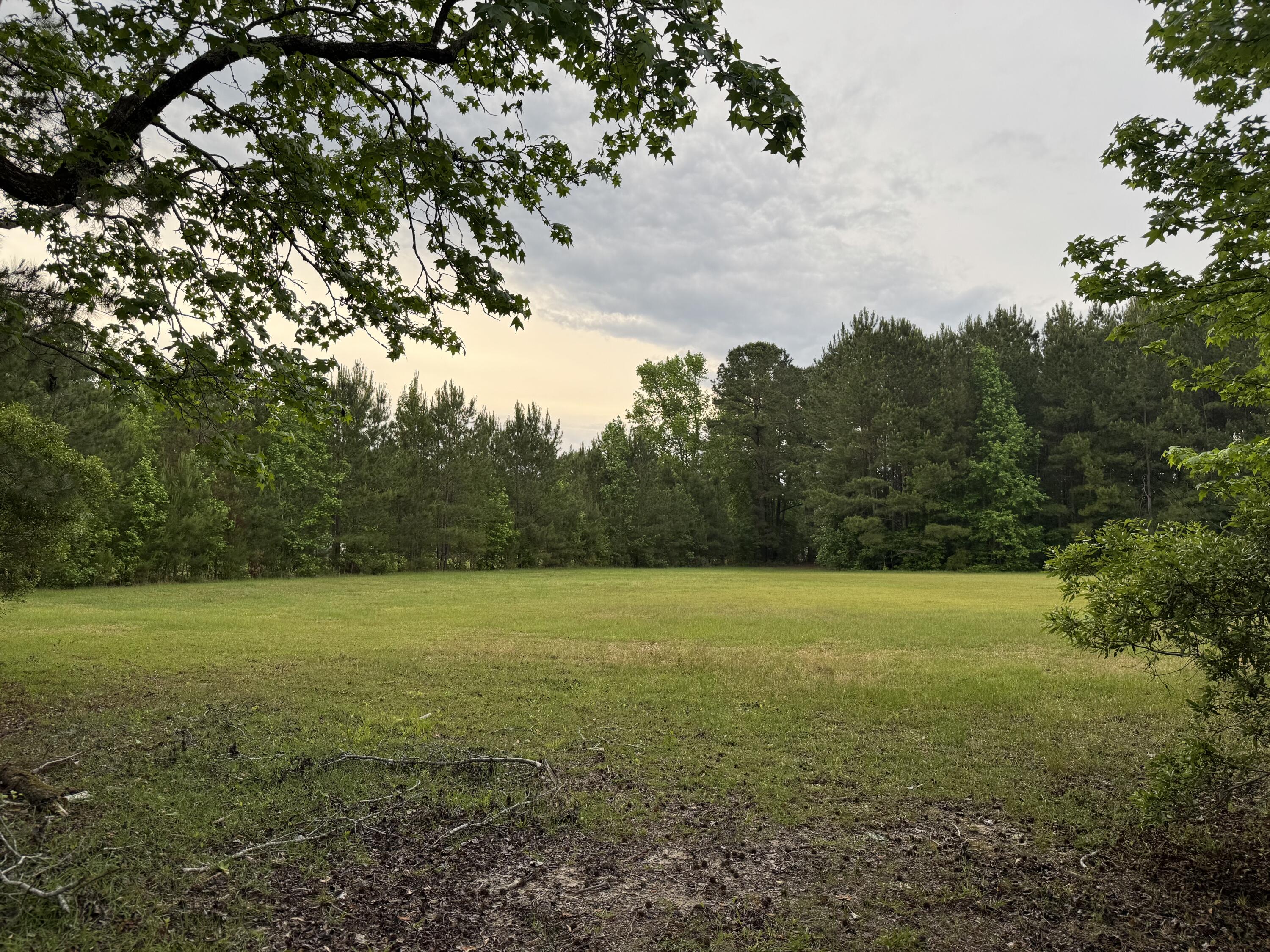 351 Duncan Chapel Road Harleyville, SC 29448 - Photo 83 of 90 IMG_9887