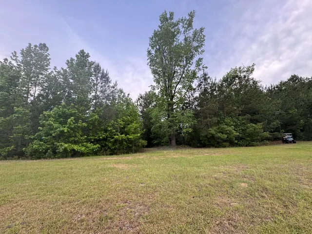 $950,000 | 351 Duncan Chapel Road, Harleyville, SC 29448