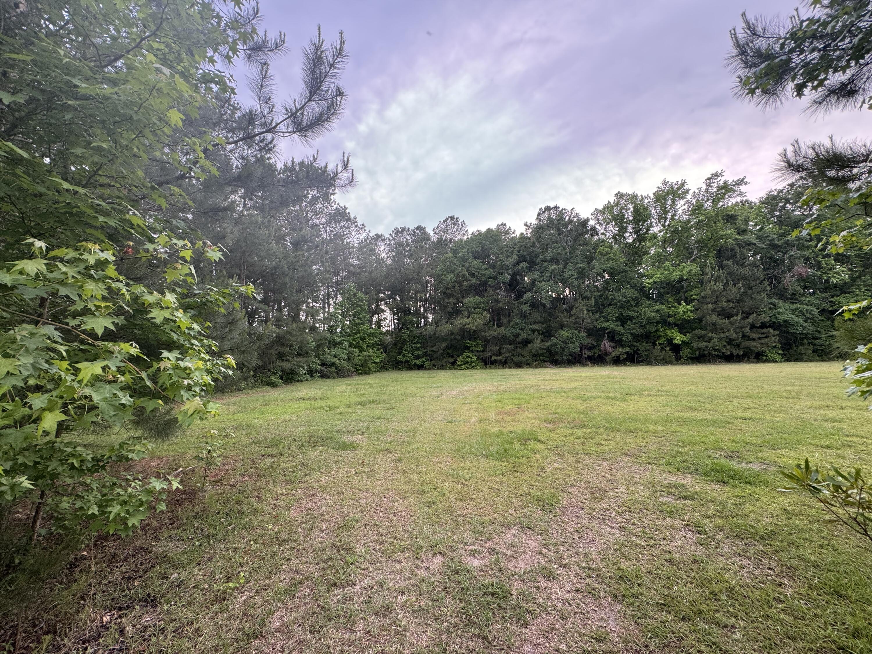 351 Duncan Chapel Road Harleyville, SC 29448 - Photo 85 of 90 IMG_9891