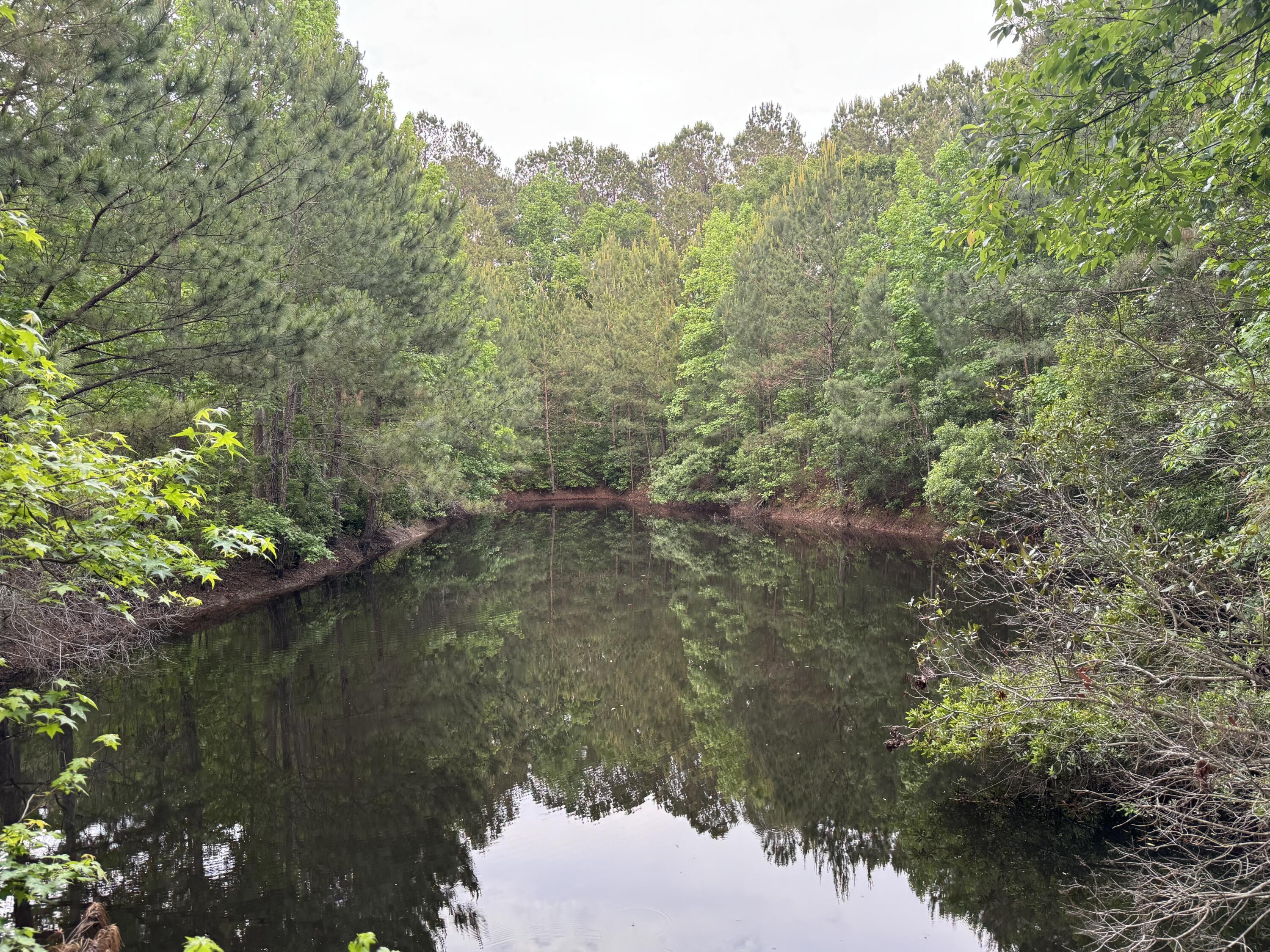 351 Duncan Chapel Road Harleyville, SC 29448 - Photo 10 of 90 IMG_9881