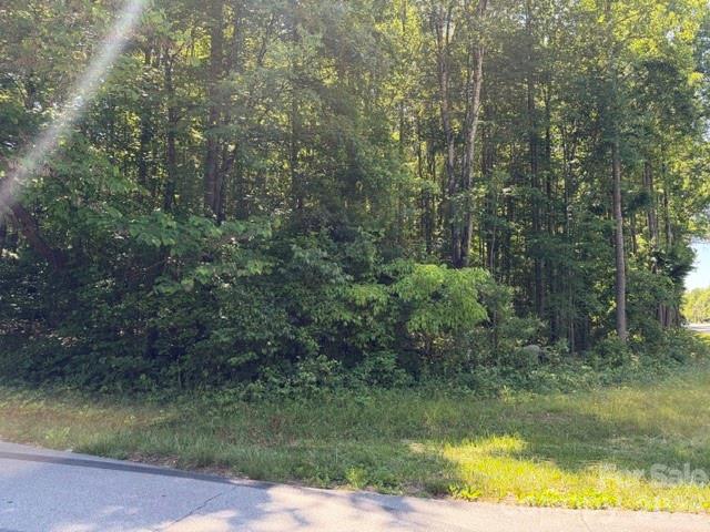 316 11th Street Northwest Conover, NC 28613 - Photo 3 of 4 a view of forest