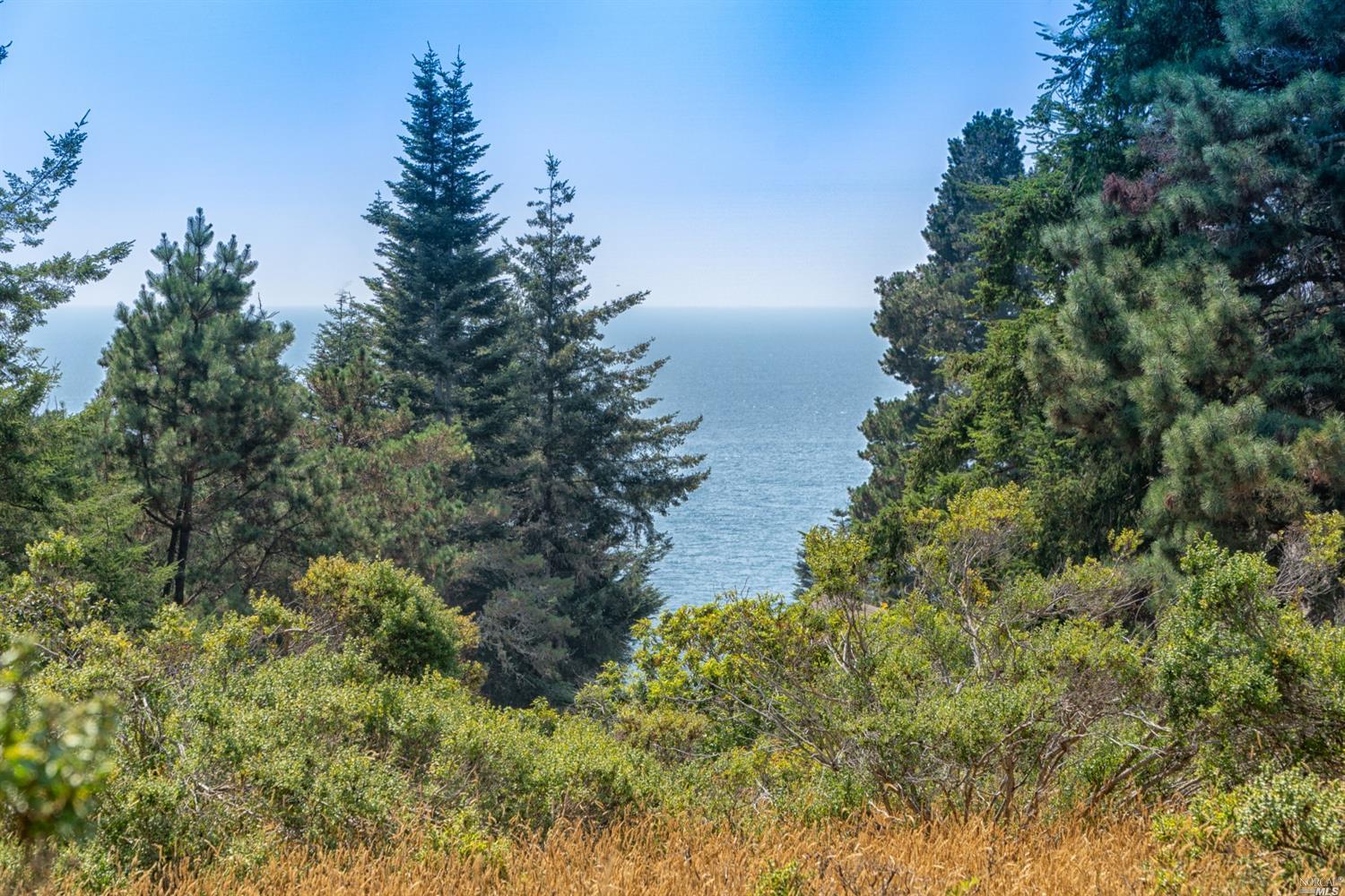 a view of a lake with a tree