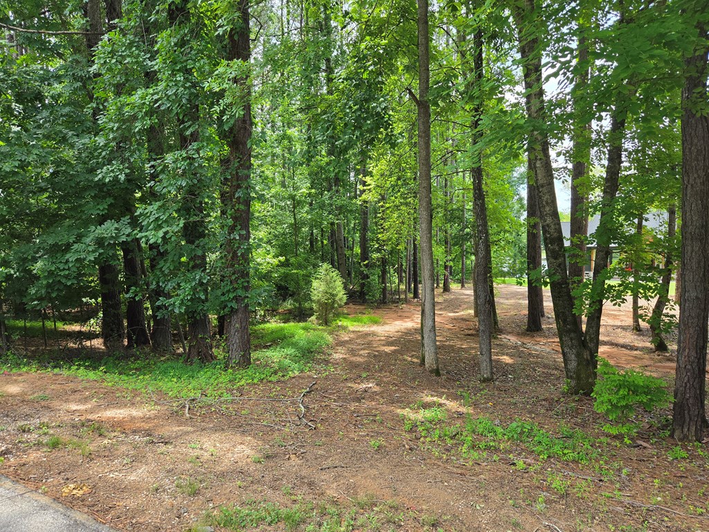 110 Long Point Road Hodges, SC 29653 - Photo 6 of 11