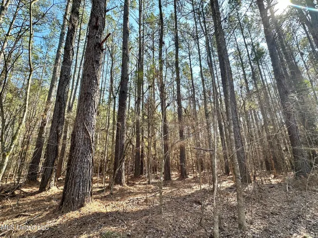 $255,000 | 7 Cut Off Road, Carthage, MS 39051