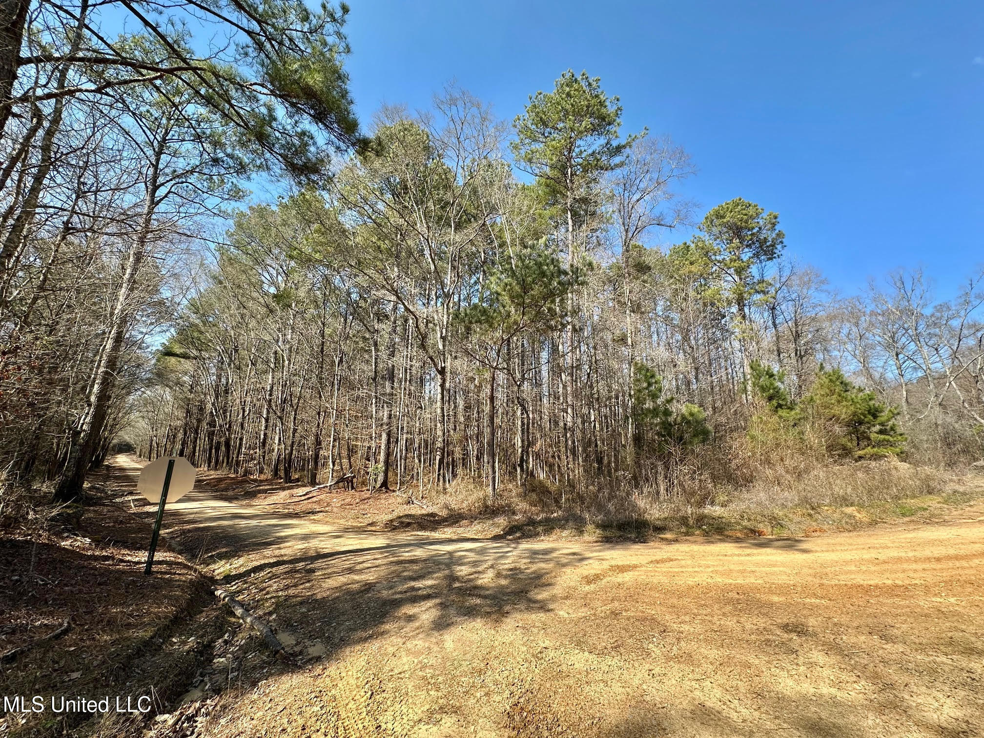 7 Cut Off Road Carthage, MS 39051 - Photo 4 of 15 42