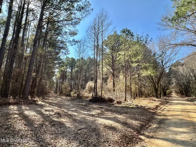 $255,000 | 7 Cut Off Road, Carthage, MS 39051