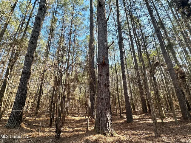 $255,000 | 7 Cut Off Road, Carthage, MS 39051