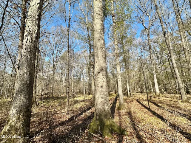 $255,000 | 7 Cut Off Road, Carthage, MS 39051