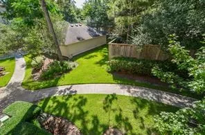 a view of a park with plants and large trees