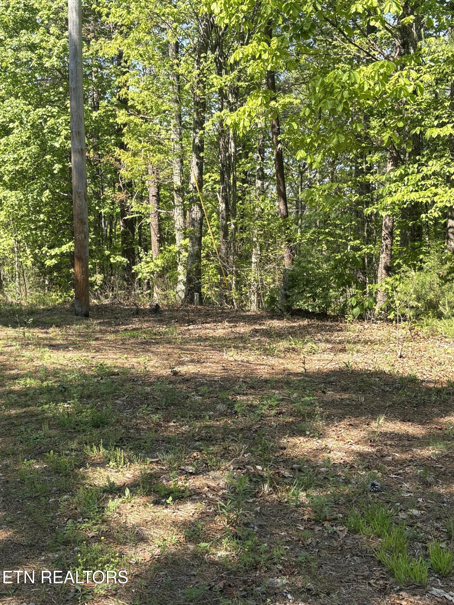 261 Mountain Retreat Road Townsend, TN 37882 - Photo 2 of 23 IMG_3900