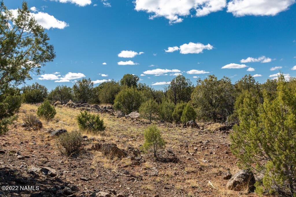 0 Cable Road Williams, AZ 86046 - Photo 12 of 25 11