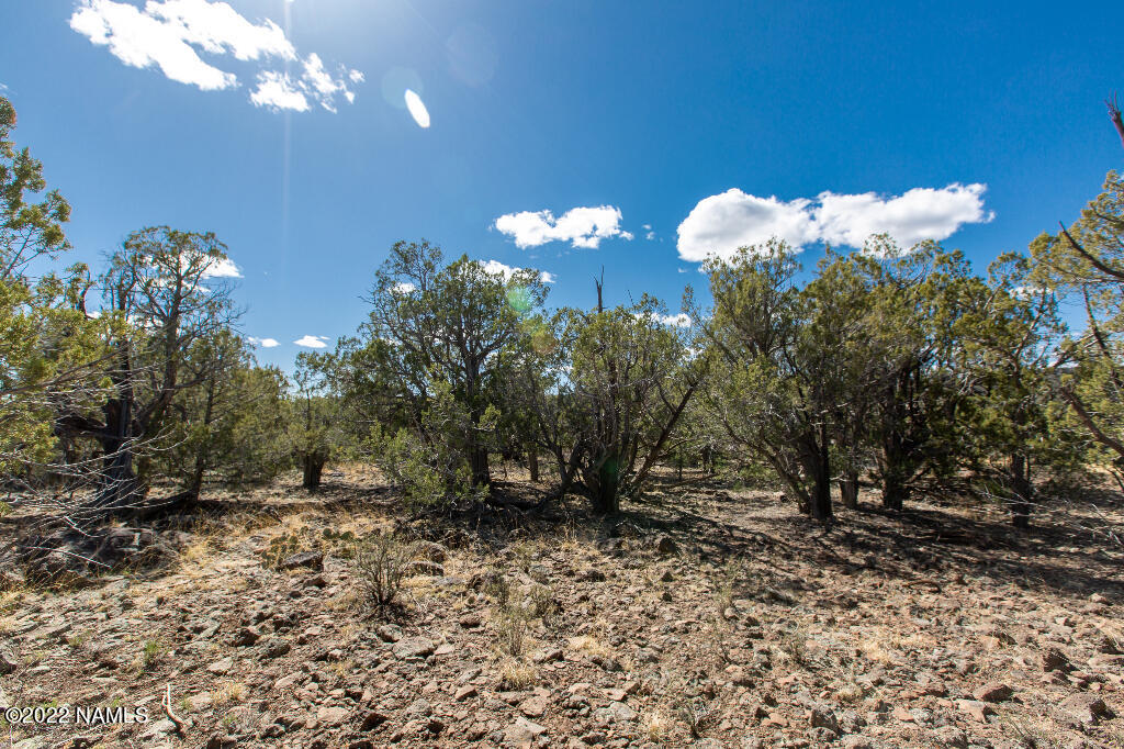 0 Cable Road Williams, AZ 86046 - Photo 13 of 25 12