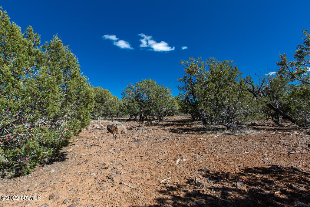 0 Cable Road Williams, AZ 86046 - Photo 14 of 25 13