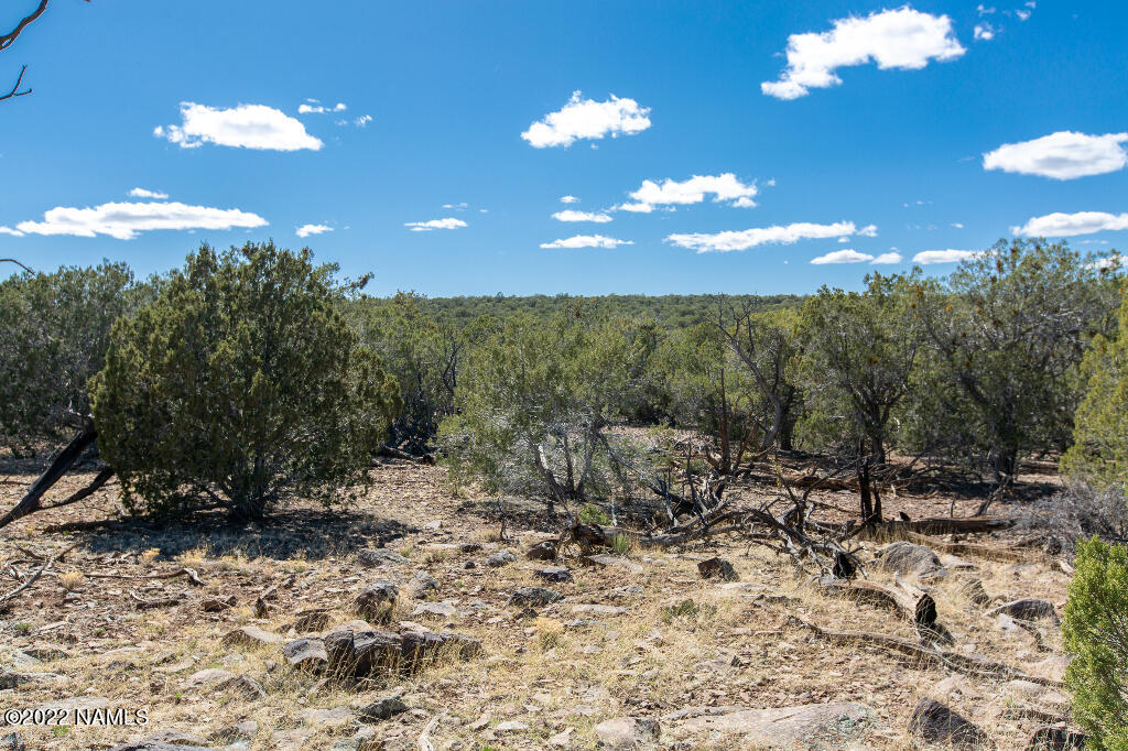 0 Cable Road Williams, AZ 86046 - Photo 15 of 25 14
