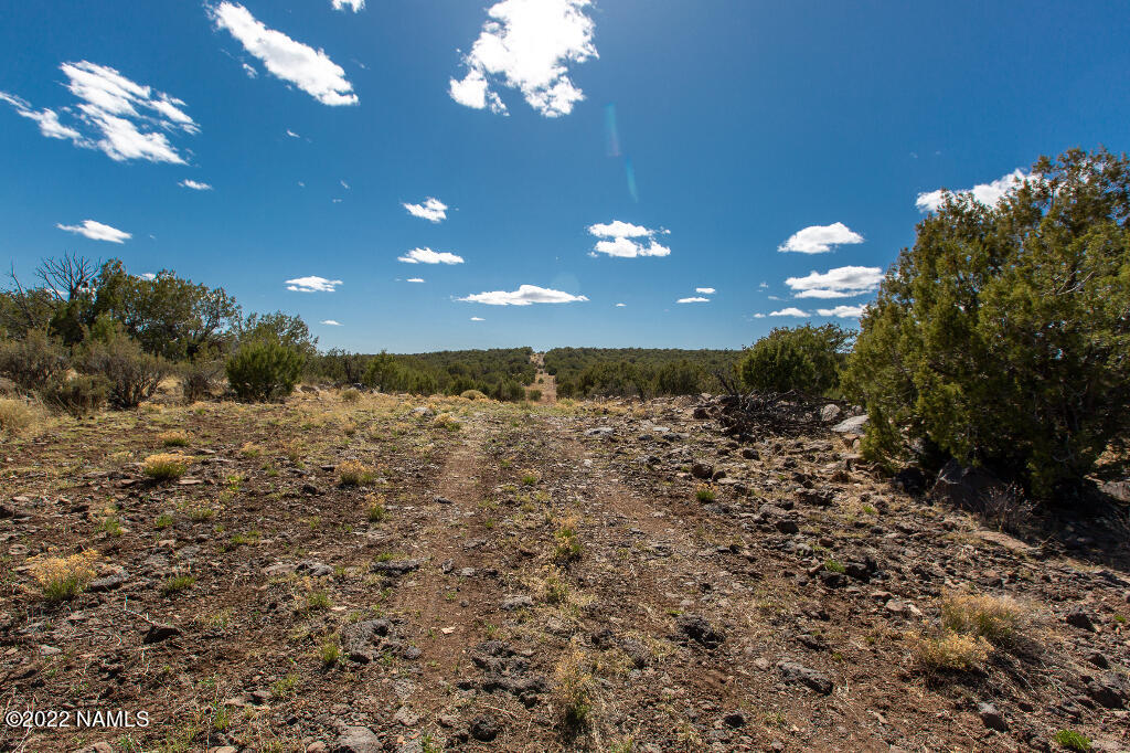 0 Cable Road Williams, AZ 86046 - Photo 16 of 25 15