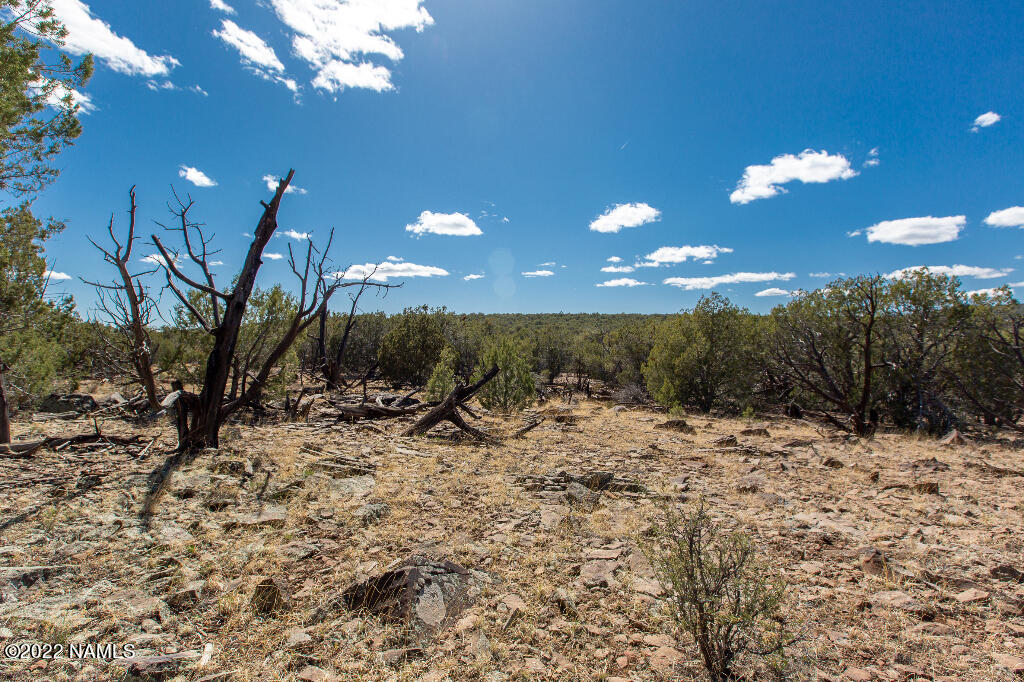 0 Cable Road Williams, AZ 86046 - Photo 17 of 25 16