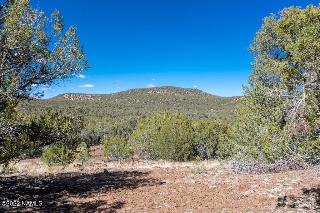 0 Cable Road Williams, AZ 86046 - Photo 18 of 25 17