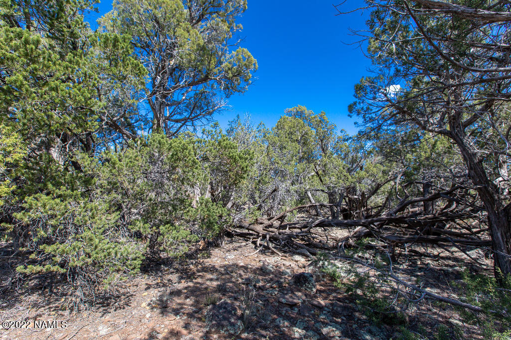0 Cable Road Williams, AZ 86046 - Photo 19 of 25 18