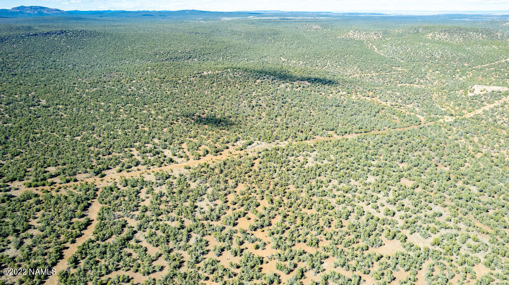 0 Cable Road Williams, AZ 86046 - Photo 22 of 25 21