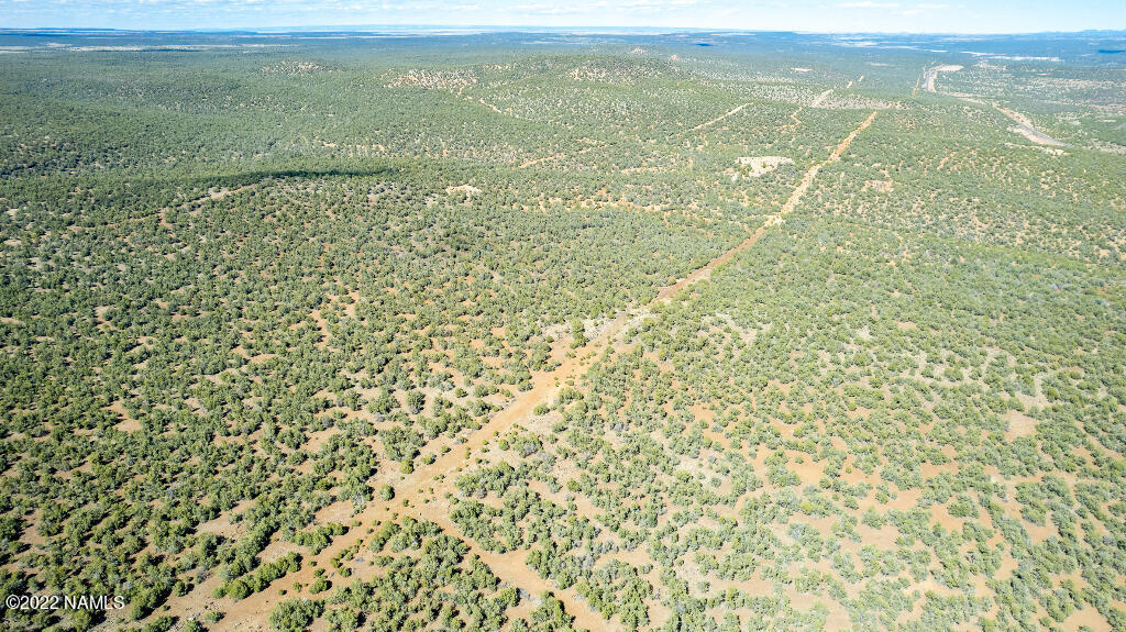 0 Cable Road Williams, AZ 86046 - Photo 25 of 25 24