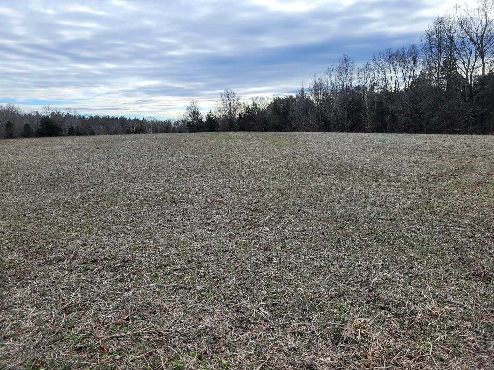 0 Maddox Road Gladys, VA 24554 - Photo 22 of 22 a view of a field with trees in the background