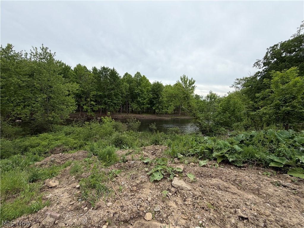 9098 Diagonal Road Streetsboro, OH 44241 - Photo 19 of 25 Natural setting featuring a body of water surrounded by dense deciduous trees and varied green foliage