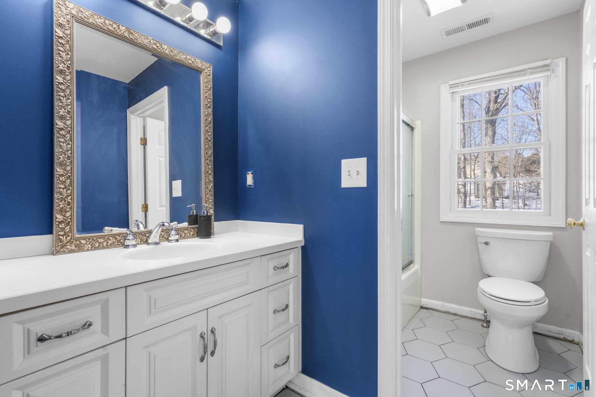 13 Surrey Lane Monroe, CT 06468 - Photo 13 of 40 a bathroom with a sink a toilet and a mirror