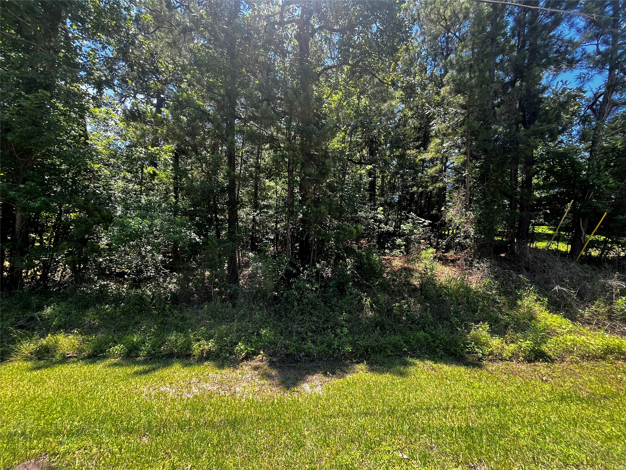 0 Hickory Ridge Drive Coldspring, TX 77331 - Photo 2 of 4 0.18 ACRES