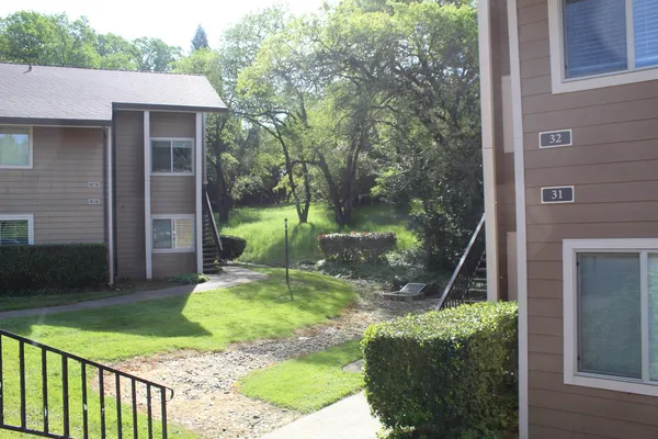 a view of a house with a tree