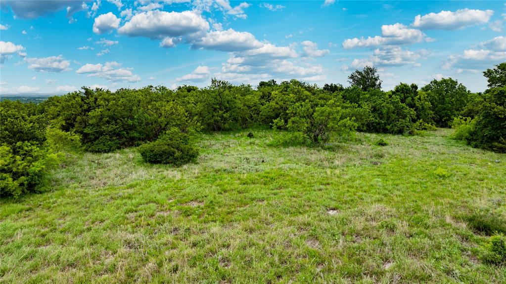 Tbd Tbd Mcdaniel Road Fort Worth, TX 76126 - Photo 21 of 22 a view of a big yard with plants and a garden