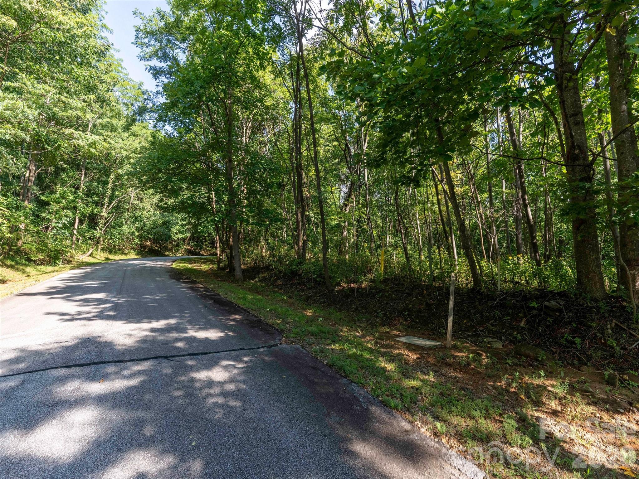 0 Cherry Hill Mill Spring, Unit 221 Mill Spring, NC 28756 - Photo 5 of 10 Gallery Image 5