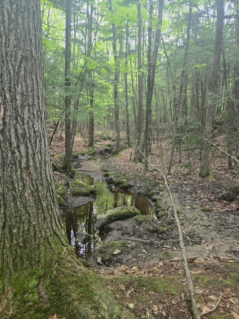 30 Marshall Valley Road Windham, ME 04062 - Photo 12 of 15 unnamed (7)