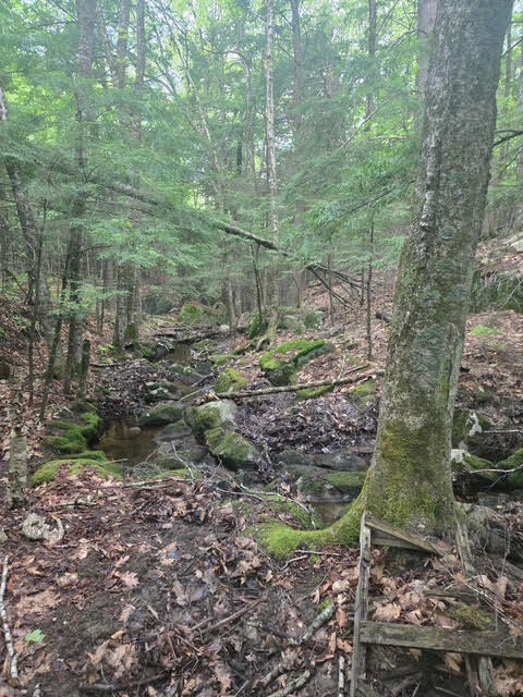 30 Marshall Valley Road Windham, ME 04062 - Photo 13 of 15 unnamed (8)