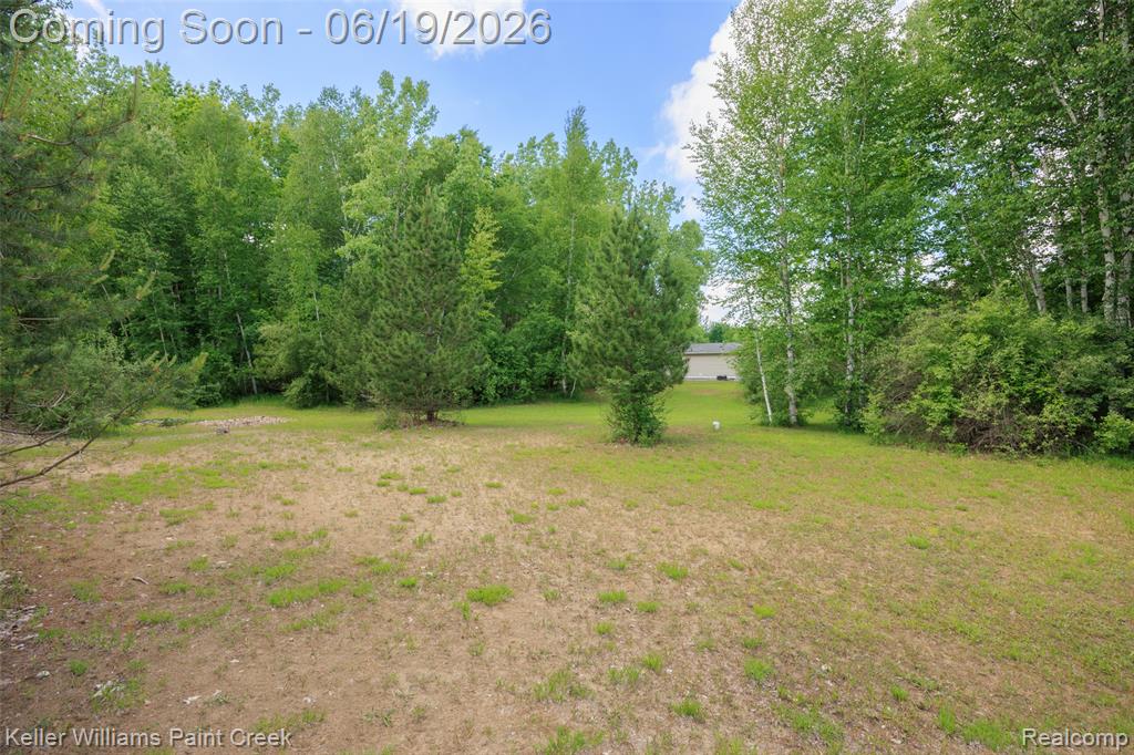 2457 Harrington Road Croswell, MI 48422 - Photo 37 of 42