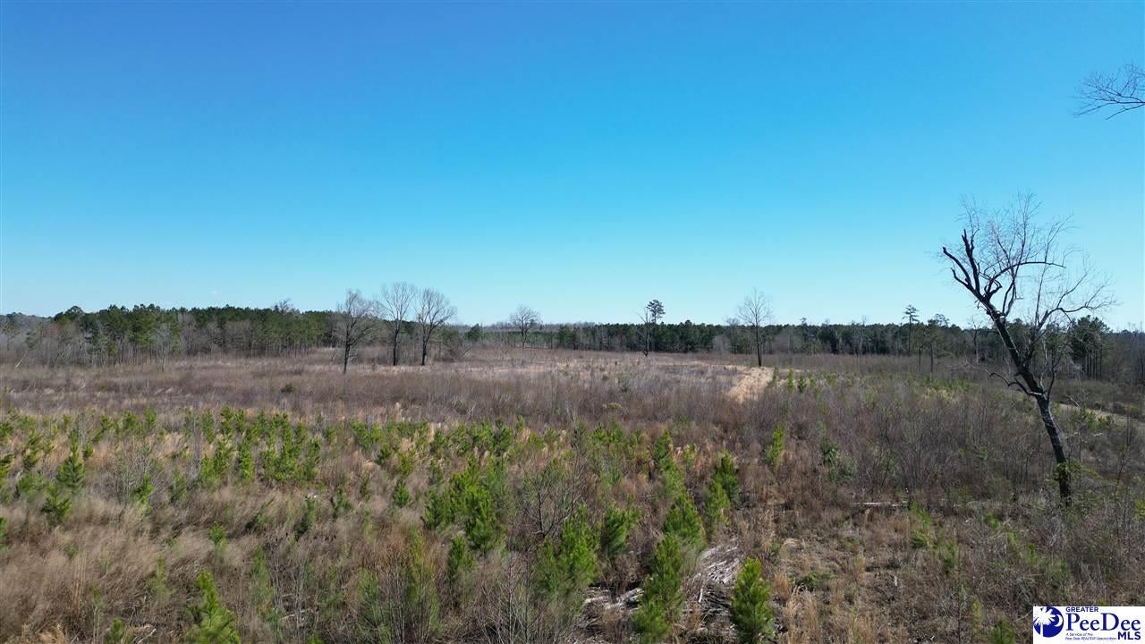 Peacock Road Marion, SC 29571 - Photo 1 of 1 Gallery Image 1