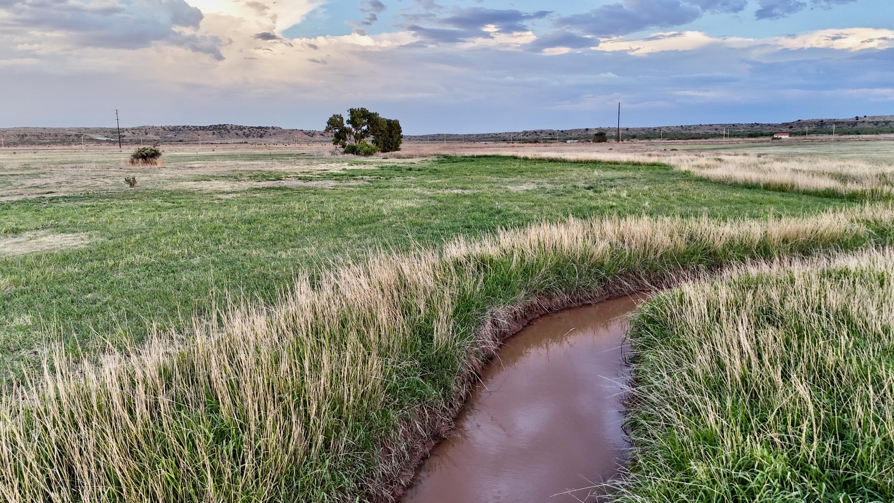 County Road West Vega, TX 79092 - Photo 9 of 20 DJI_20260625205936_0377_D