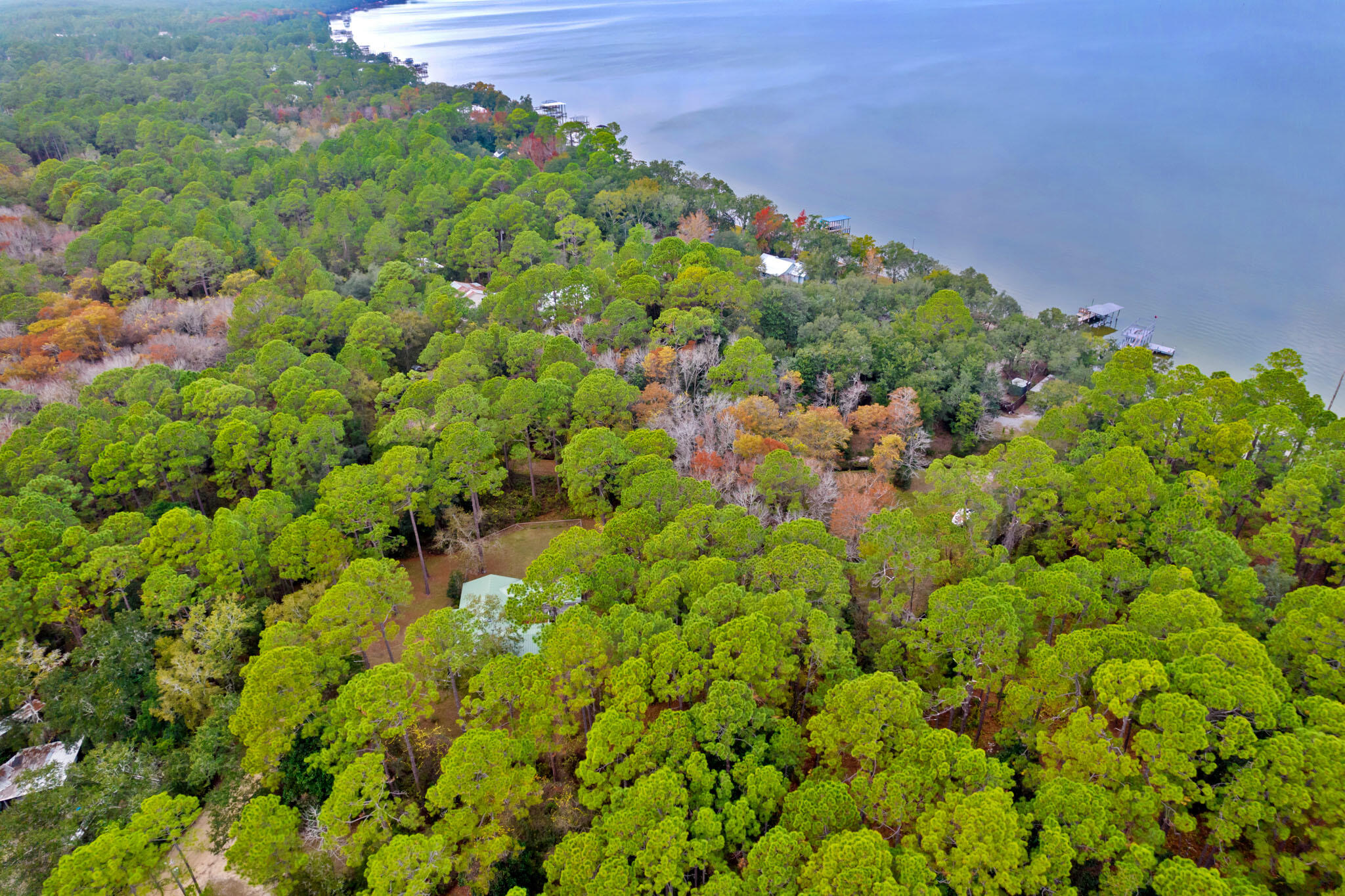 108 Osprey Lane Santa Rosa Beach, FL 32459 - Photo 37 of 40 a view of a large yard with lots of plants