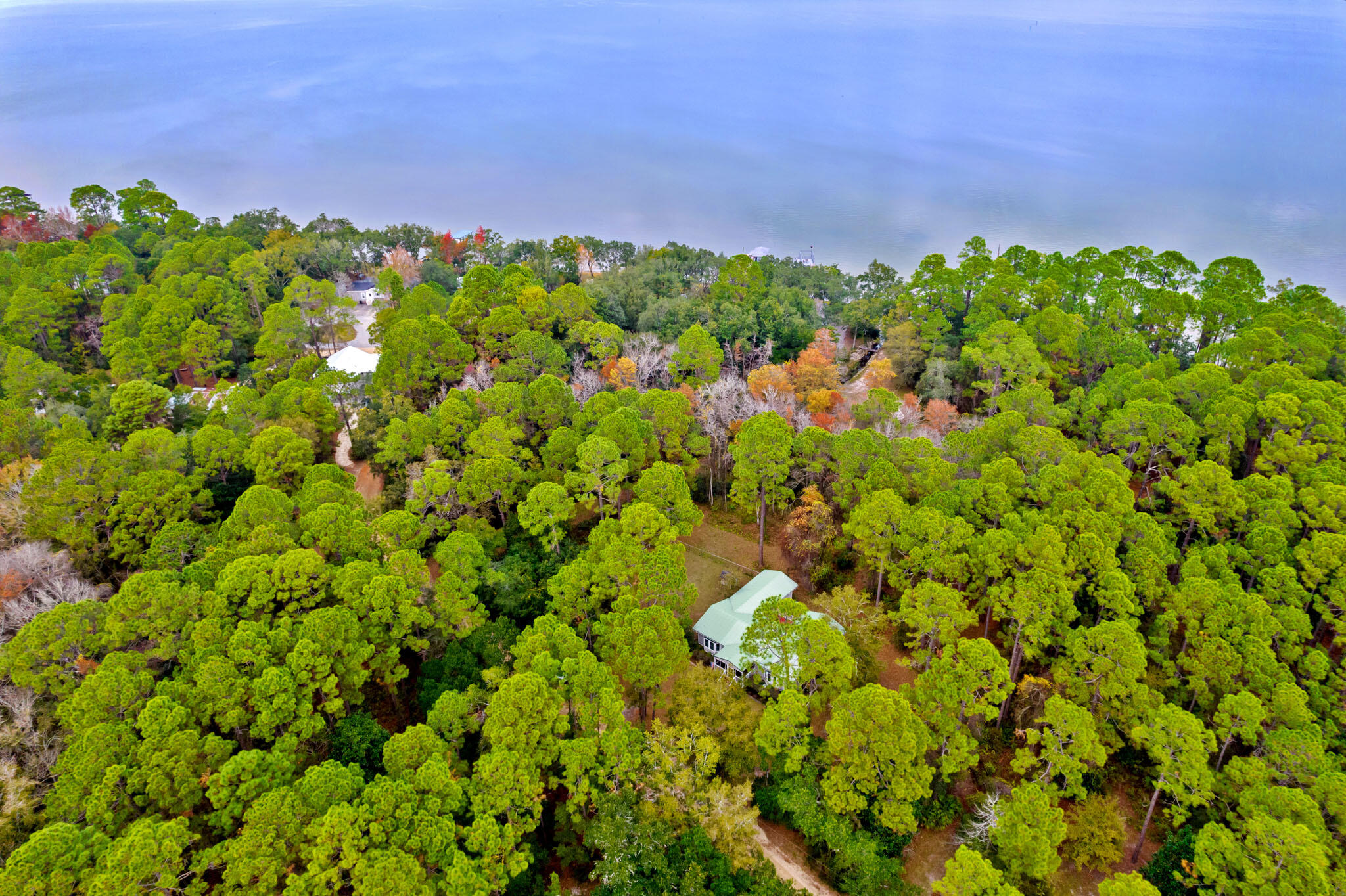 108 Osprey Lane Santa Rosa Beach, FL 32459 - Photo 38 of 40 a view of a bunch of flowers