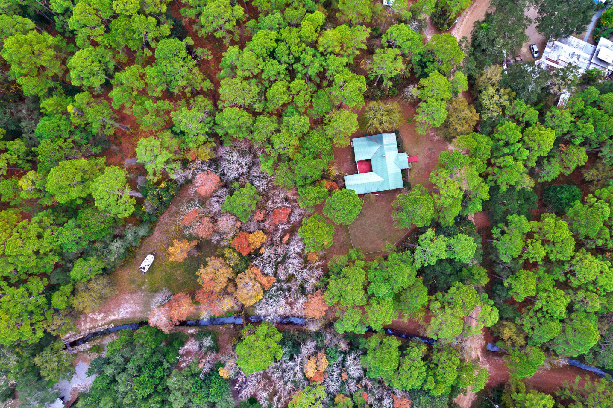 108 Osprey Lane Santa Rosa Beach, FL 32459 - Photo 40 of 40 a picture of flowers