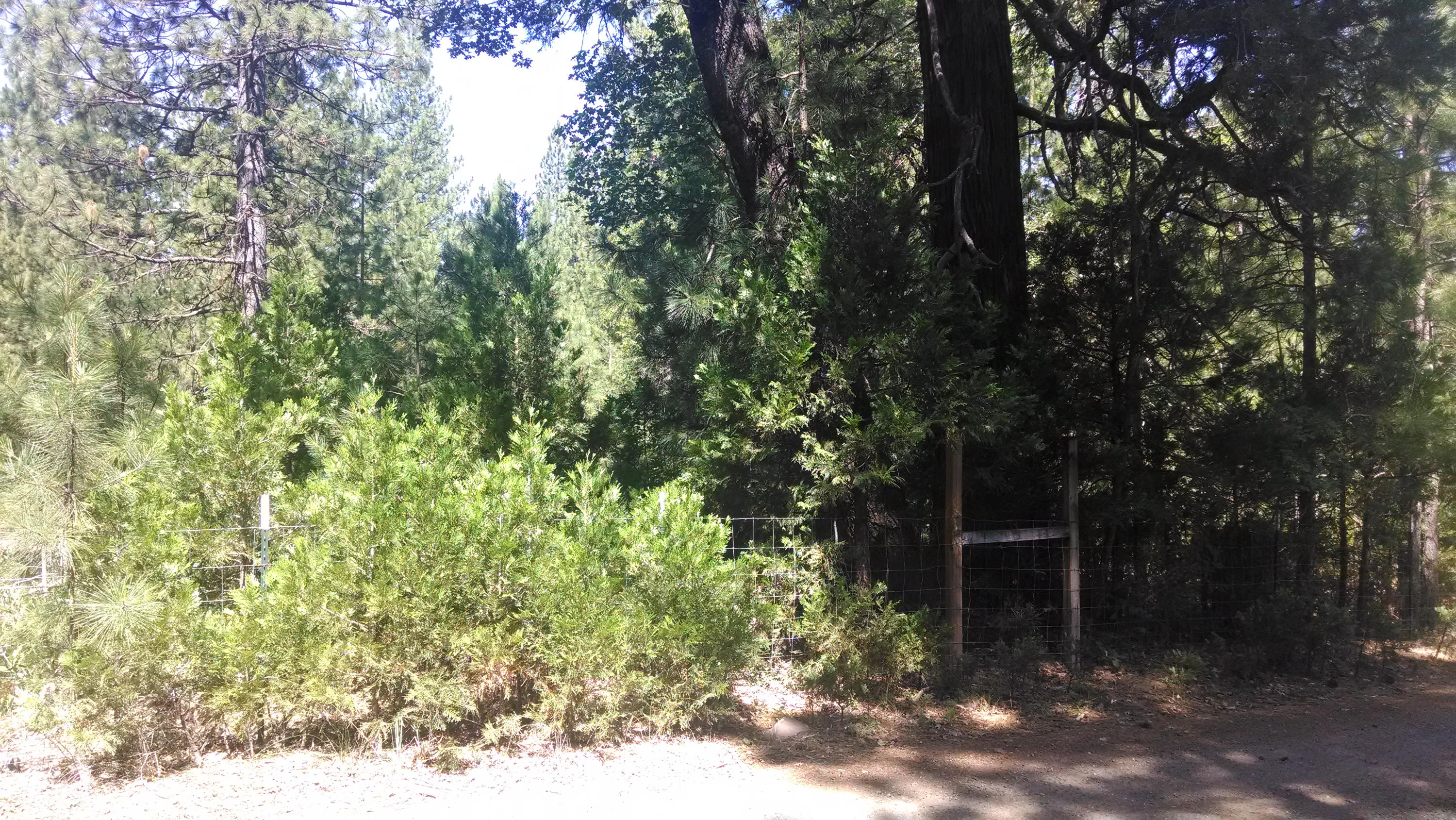 30495 Whitmore Road Whitmore, CA 96096 - Photo 11 of 11 From Road