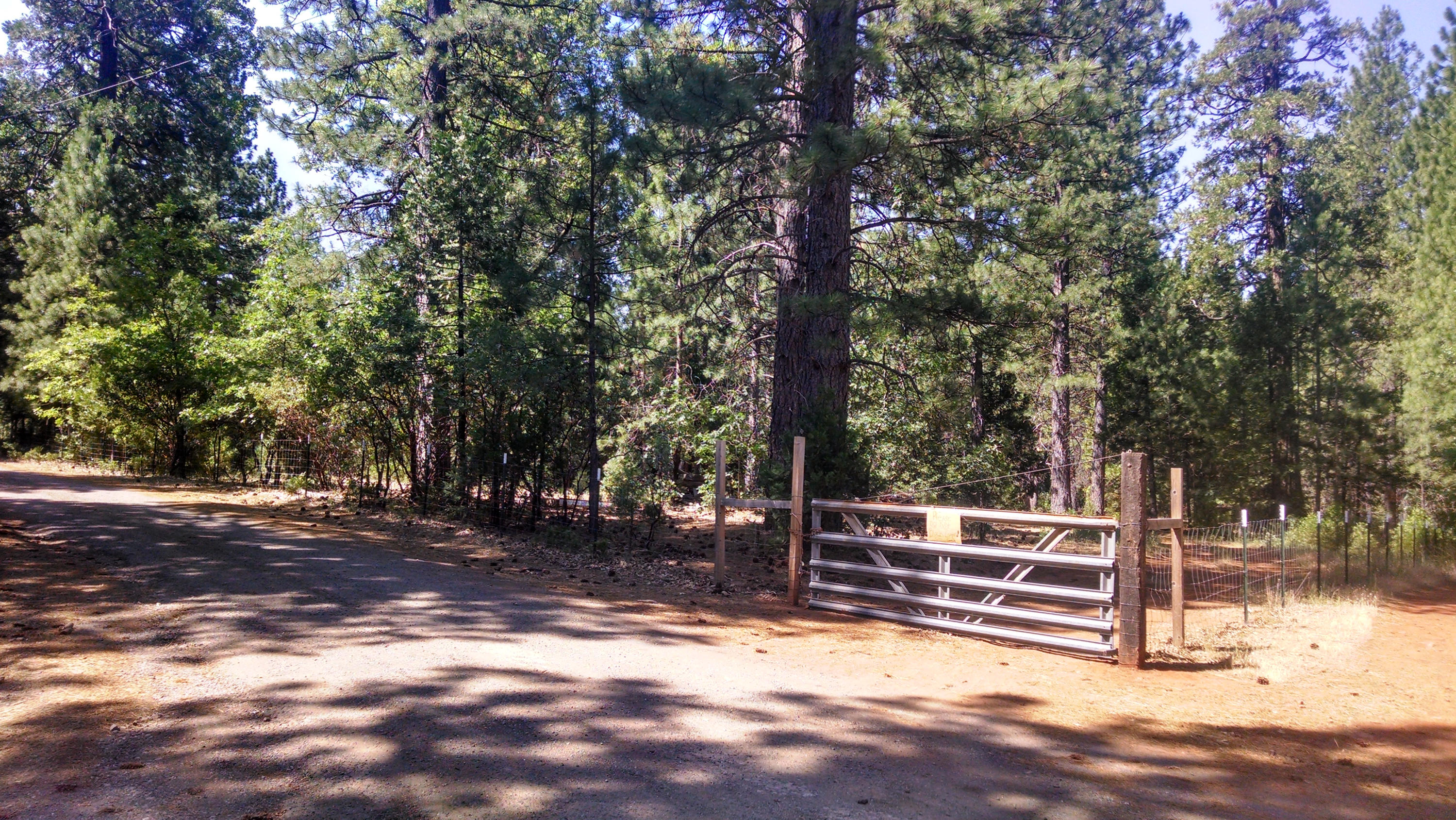 30495 Whitmore Road Whitmore, CA 96096 - Photo 8 of 11 From Road