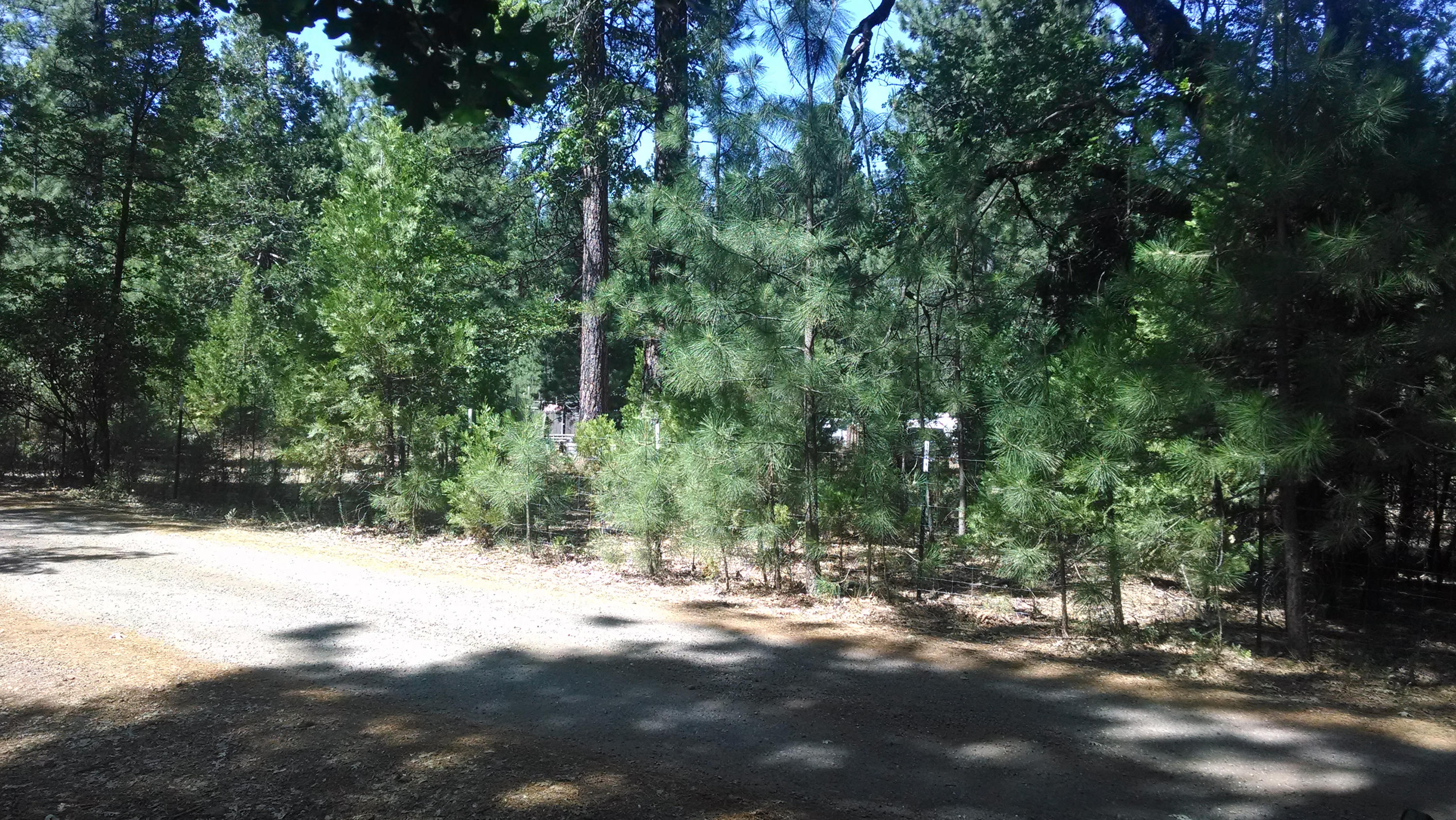 30495 Whitmore Road Whitmore, CA 96096 - Photo 9 of 11 From Road