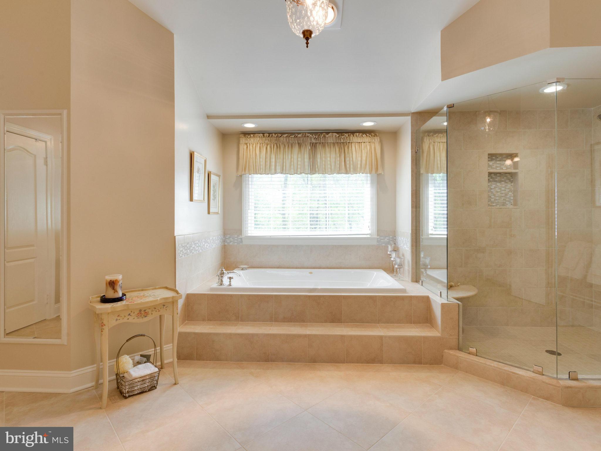 11279 Center Harbor Road Reston, VA 20194 - Photo 13 of 25 Bath (Master)