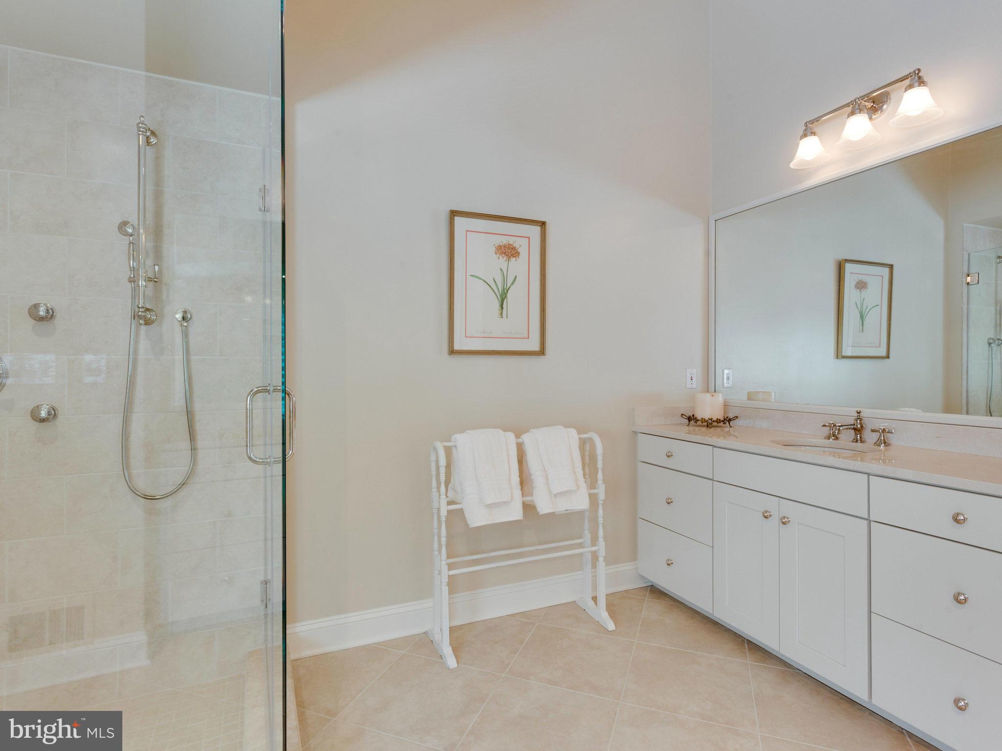 11279 Center Harbor Road Reston, VA 20194 - Photo 14 of 25 Bath (Master)